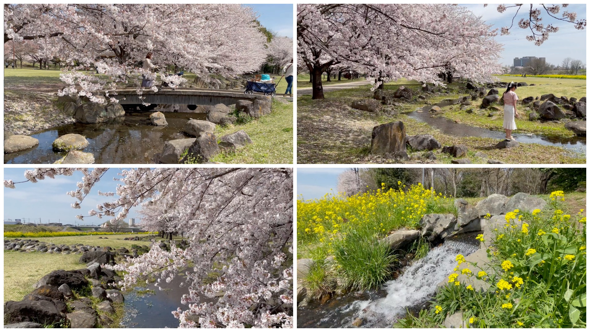 ラブリバー 親水 公園 う ぬき